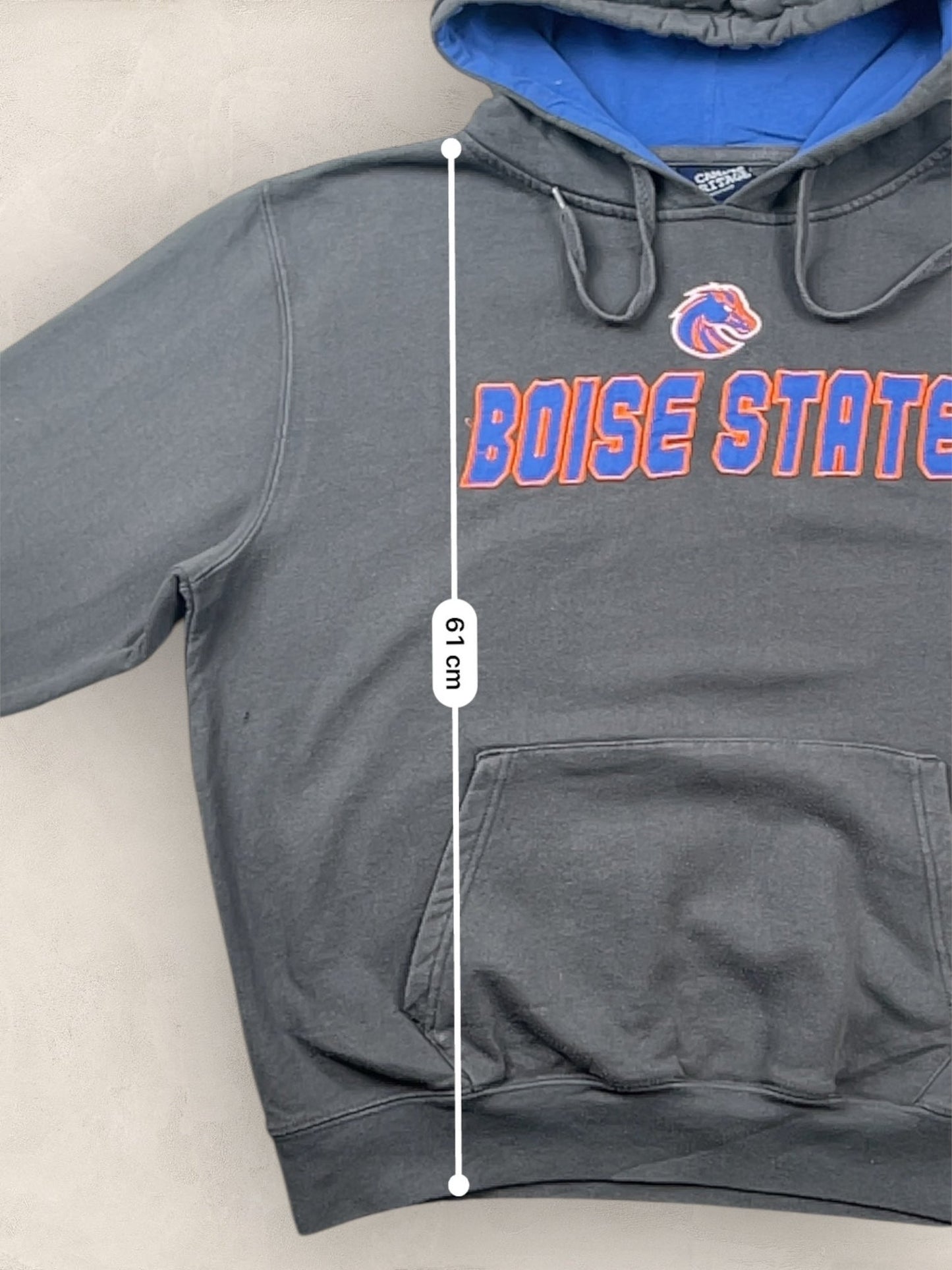 Sweat a capuche « Boise State » Sport - Team #2257 - GRIS - M - amifrip - Friperie en ligne et vêtements vintage