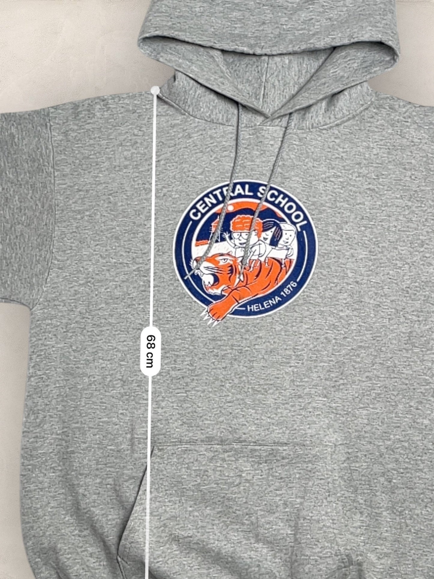 Sweat à capuche Sport - Team « Central School » #2251 - GRIS - M - amifrip - Friperie en ligne et vêtements vintage