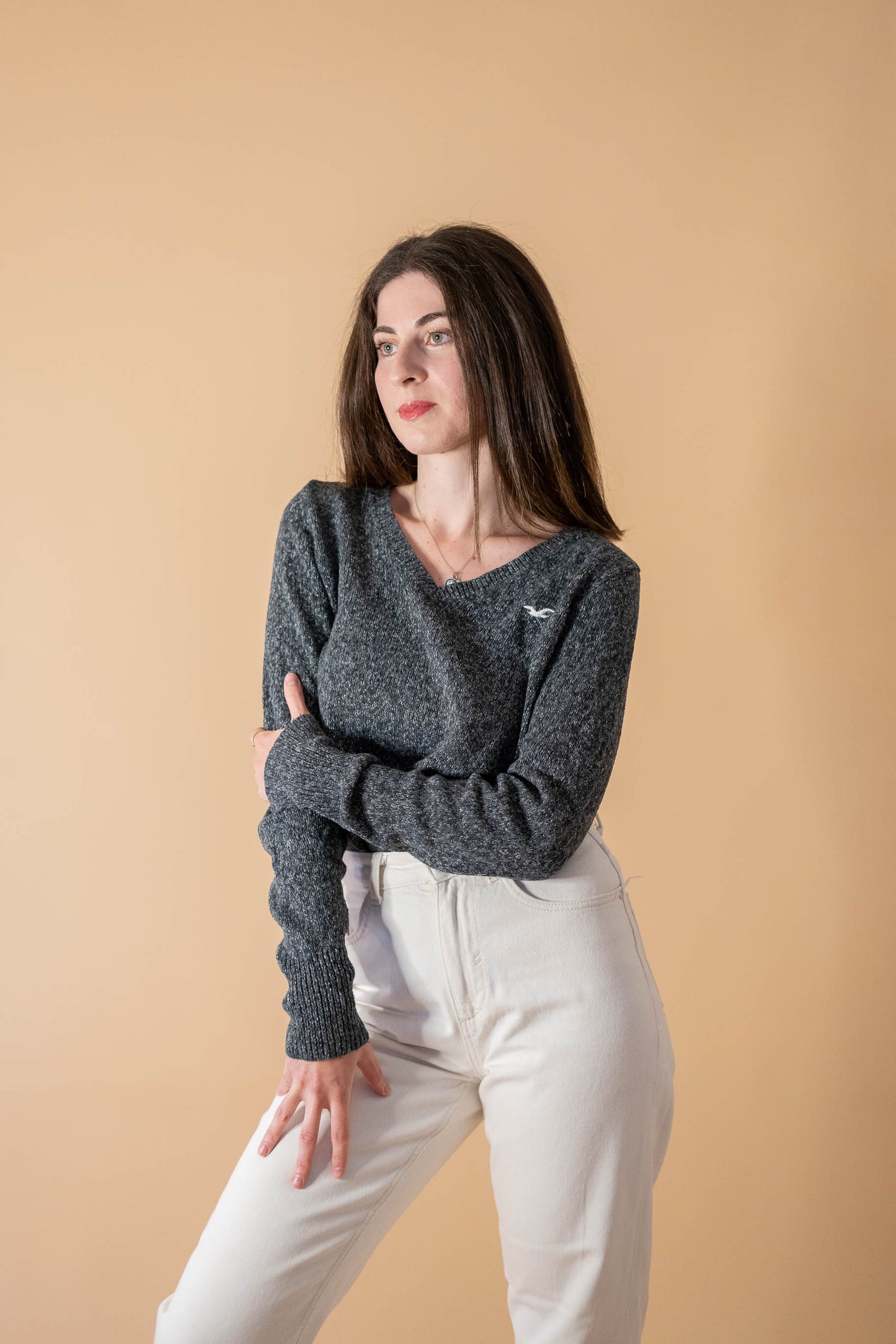 Pull  Femme Col V Gris #955