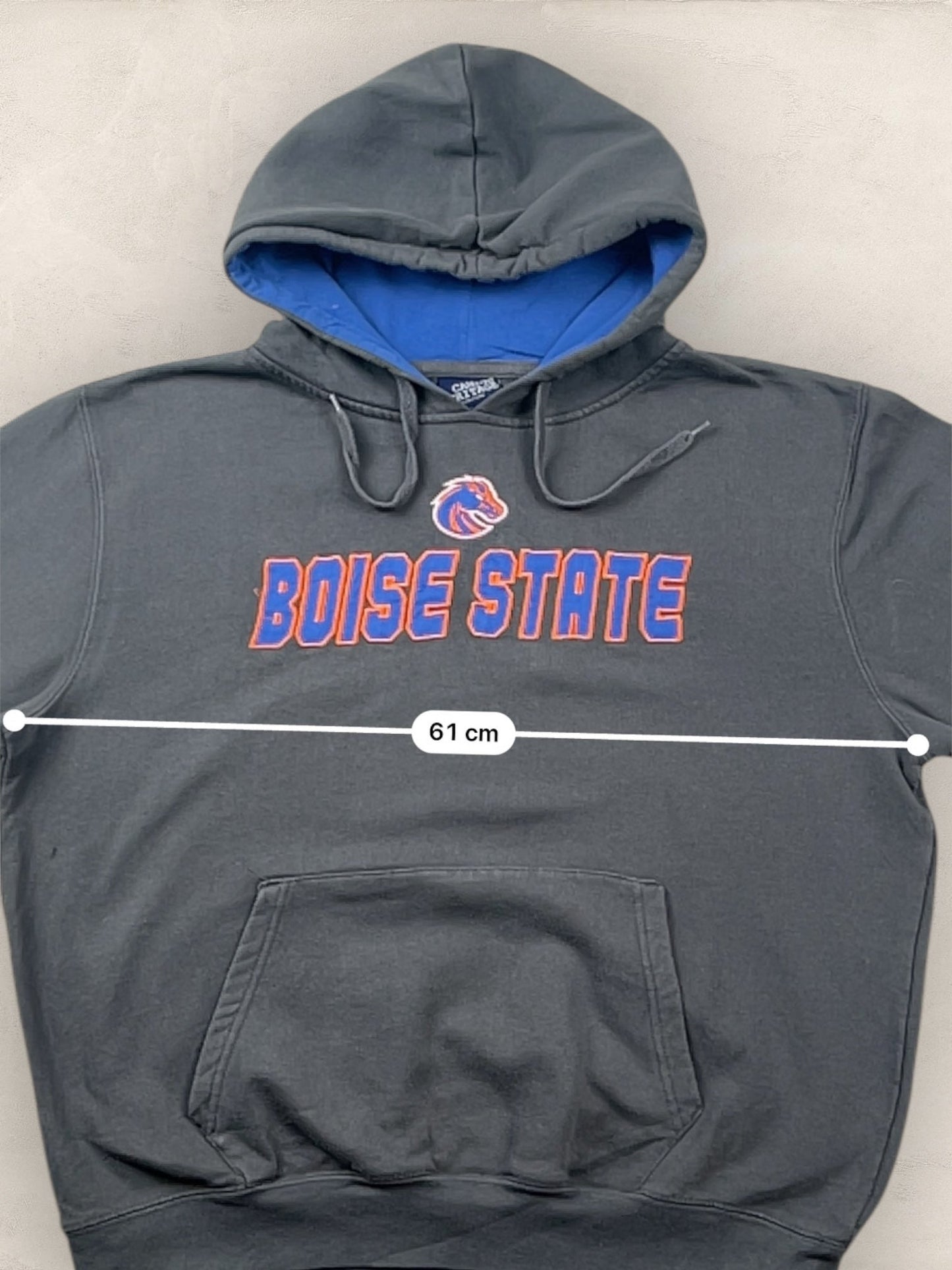 Sweat a capuche « Boise State » Sport - Team #2257 - GRIS - M - amifrip - Friperie en ligne et vêtements vintage