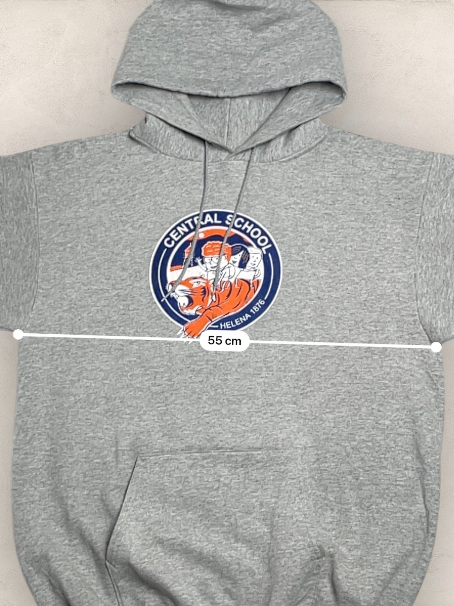 Sweat à capuche Sport - Team « Central School » #2251 - GRIS - M - amifrip - Friperie en ligne et vêtements vintage