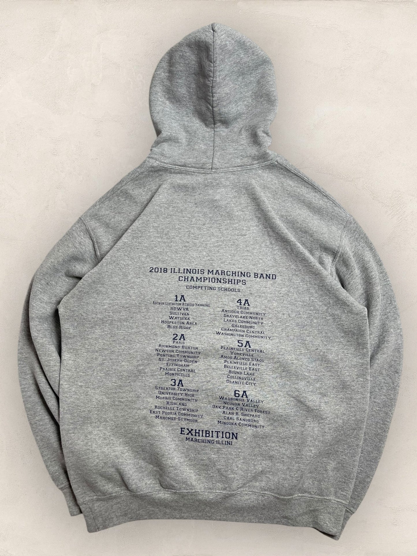 Sweat a capuche Sport - Team Ref: 2241 - GRIS - M - amifrip - Friperie en ligne et vêtements vintage