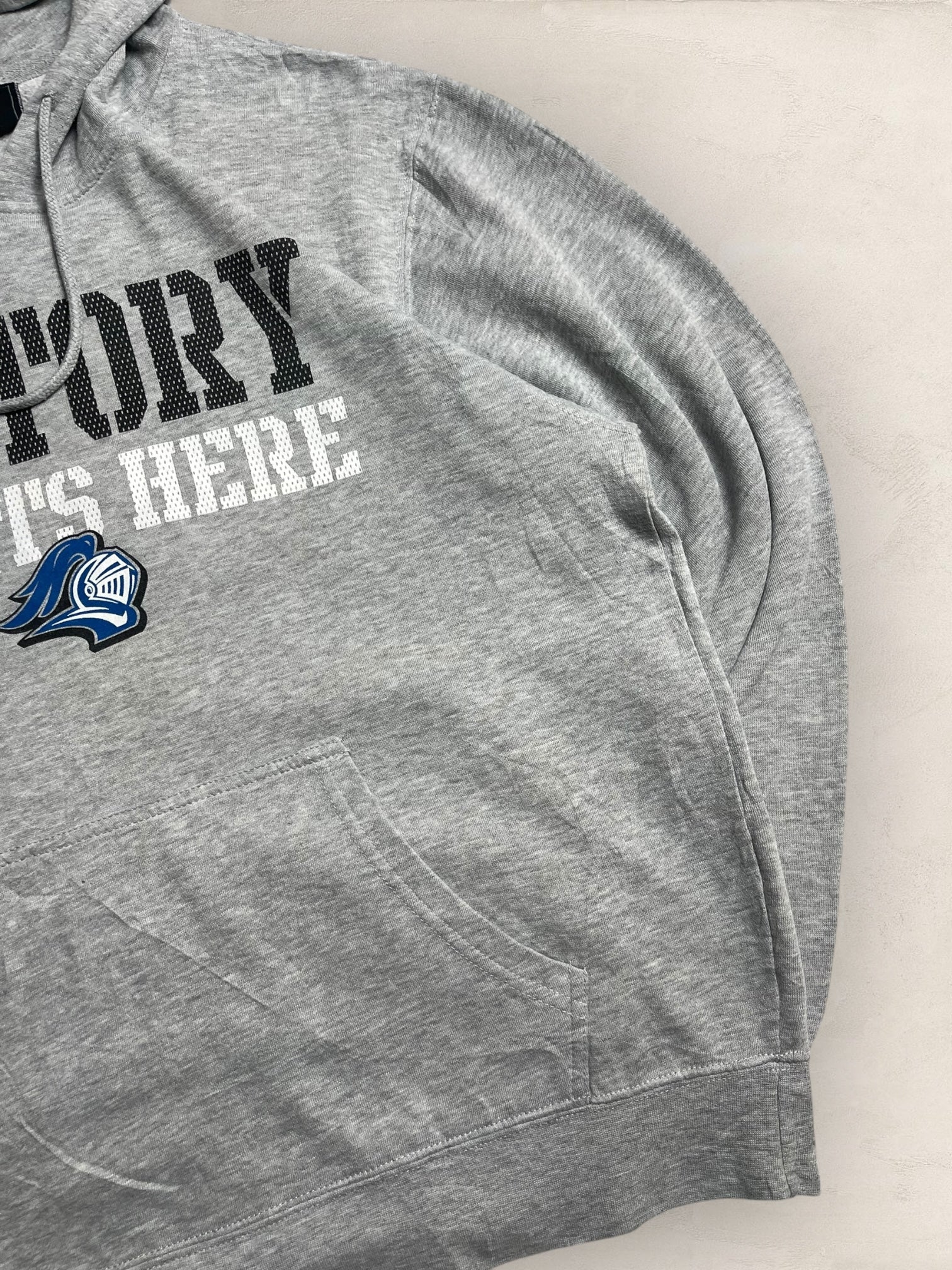 Sweat à capuche « Victory Starts Here » Sport - Team Ref: 2239 - GRIS - L - amifrip - Friperie en ligne et vêtements vintage