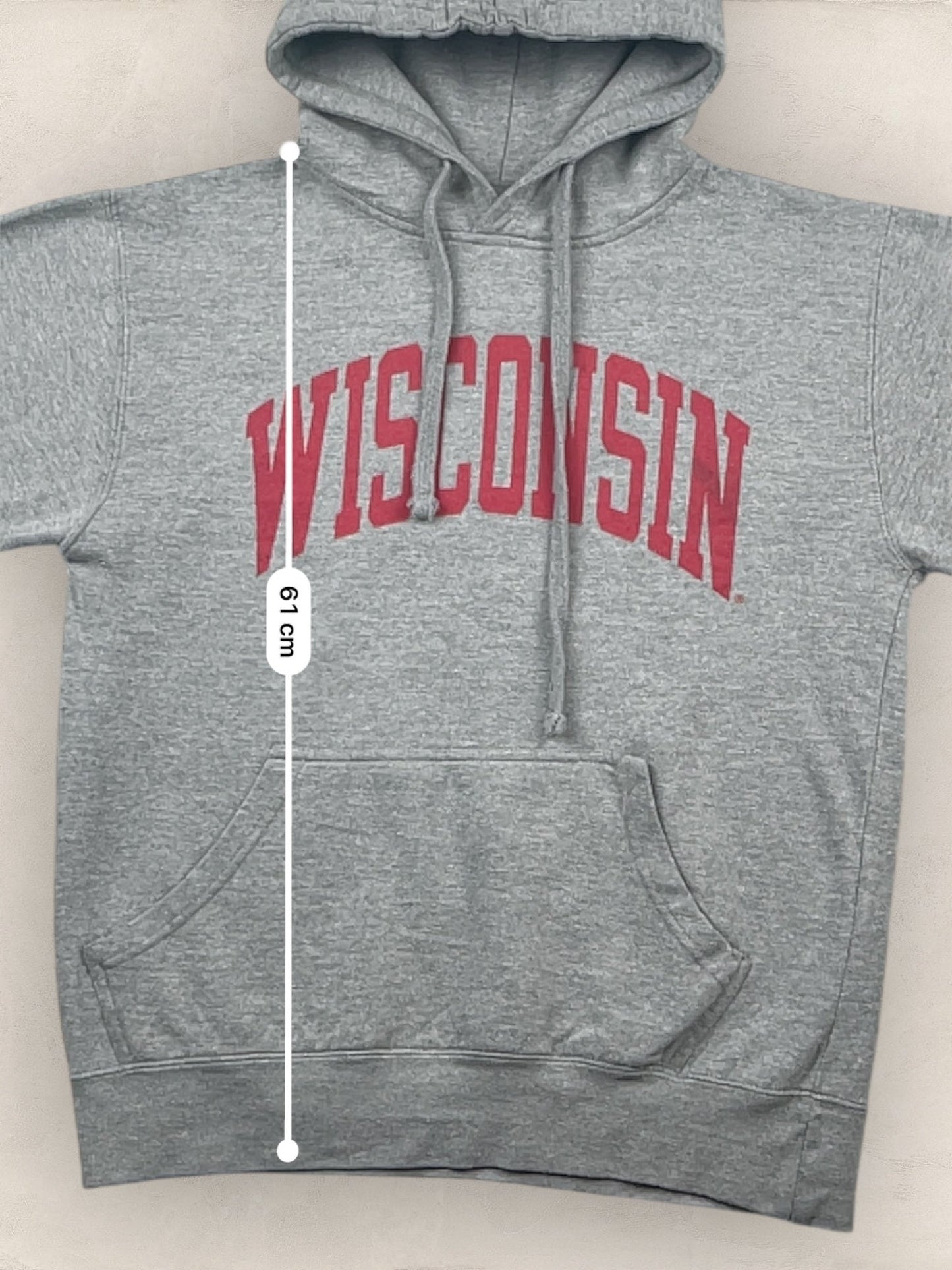 Sweat à capuche « Wisconsin » Sport - Team Ref: 2278 - GRIS - s - amifrip - Friperie en ligne et vêtements vintage