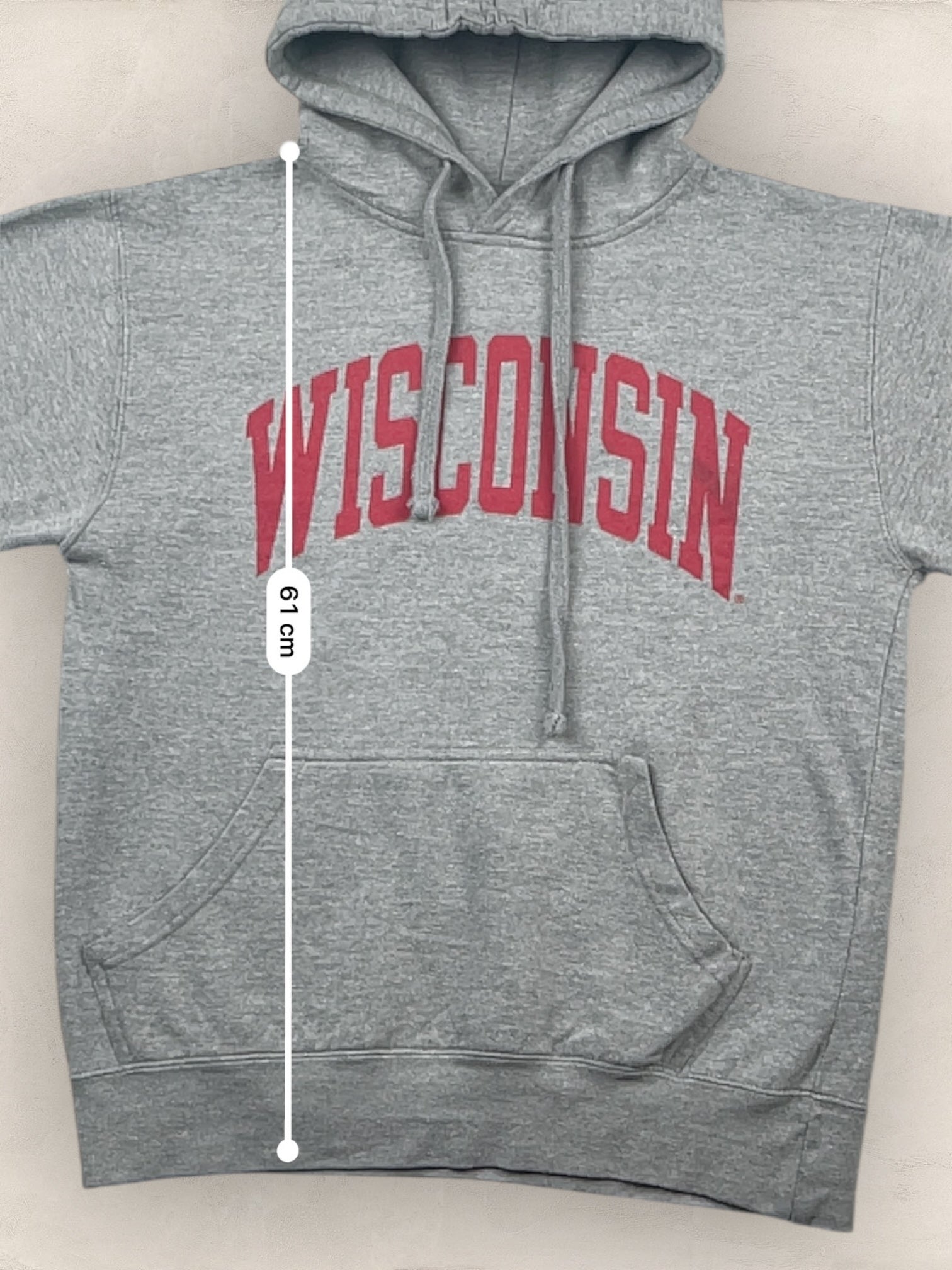 Sweat à capuche « Wisconsin » Sport - Team Ref: 2278 - GRIS - s - amifrip - Friperie en ligne et vêtements vintage