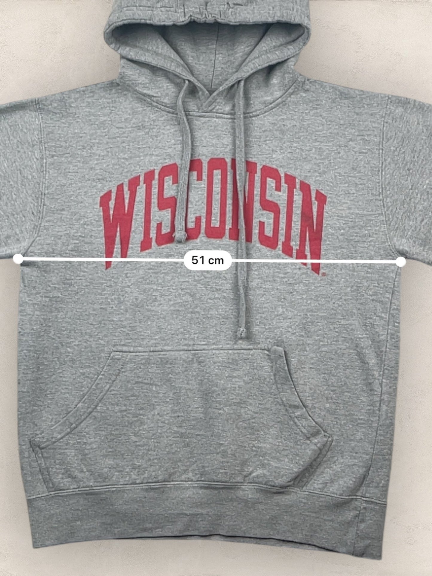 Sweat à capuche « Wisconsin » Sport - Team Ref: 2278 - GRIS - s - amifrip - Friperie en ligne et vêtements vintage